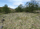 2011Jun06_Mt_St_Helens__128