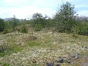 2011Jun06_Mt_St_Helens__132