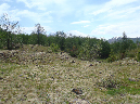 2011Jun06_Mt_St_Helens__133