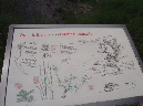 2011Jun06_Mt_St_Helens__145