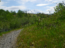 2011Jun06_Mt_St_Helens__146
