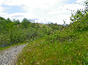 2011Jun06_Mt_St_Helens__147