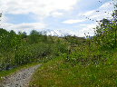 2011Jun06_Mt_St_Helens__148