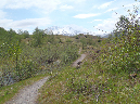 2011Jun06_Mt_St_Helens__149