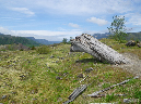 2011Jun06_Mt_St_Helens__150