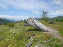 2011Jun06_Mt_St_Helens__151