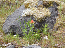 2011Jun06_Mt_St_Helens__155