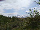2011Jun06_Mt_St_Helens__156