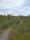 2011Jun06_Mt_St_Helens__158