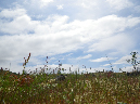 2011Jun06_Mt_St_Helens__164