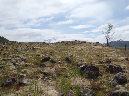 2011Jun06_Mt_St_Helens__167