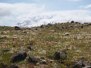 2011Jun06_Mt_St_Helens__168