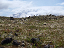 2011Jun06_Mt_St_Helens__169