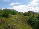 2011Jun06_Mt_St_Helens__196
