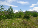2011Jun06_Mt_St_Helens__197