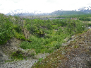 2011Jun06_Mt_St_Helens__201