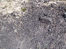 2011Jun06_Mt_St_Helens__203