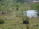 2011Jun06_Mt_St_Helens__207
