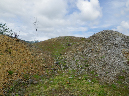 2011Jun06_Mt_St_Helens__211