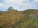 2011Jun06_Mt_St_Helens__212