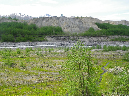 2011Jun06_Mt_St_Helens__249
