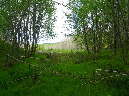 2011Jun06_Mt_St_Helens__253