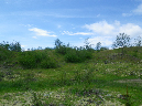 2011Jun06_Mt_St_Helens__289