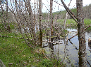 2011Jun06_Mt_St_Helens__300