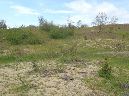 2011Jun06_Mt_St_Helens__305