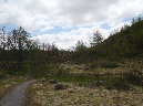 2011Jun06_Mt_St_Helens__307