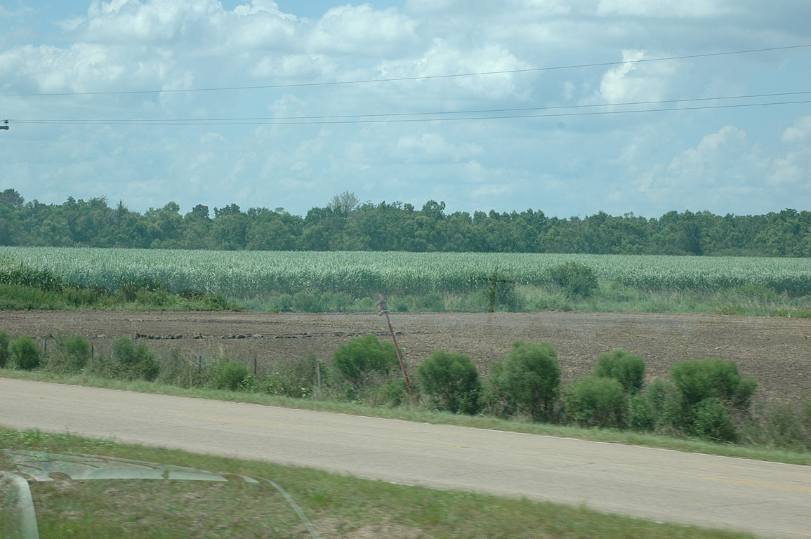 2007_0821_0346
