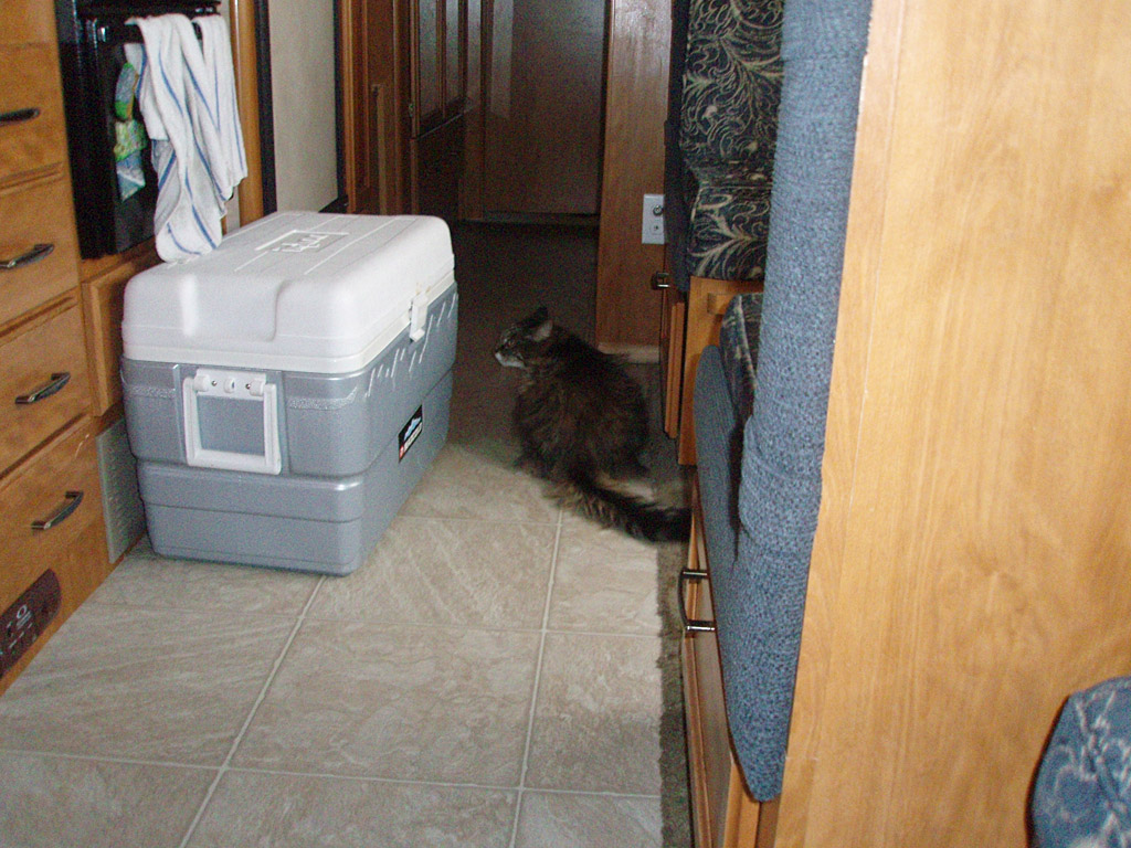 2007_0822_0458