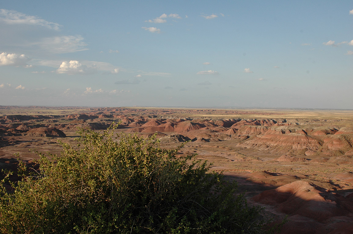 2007_0823_0880