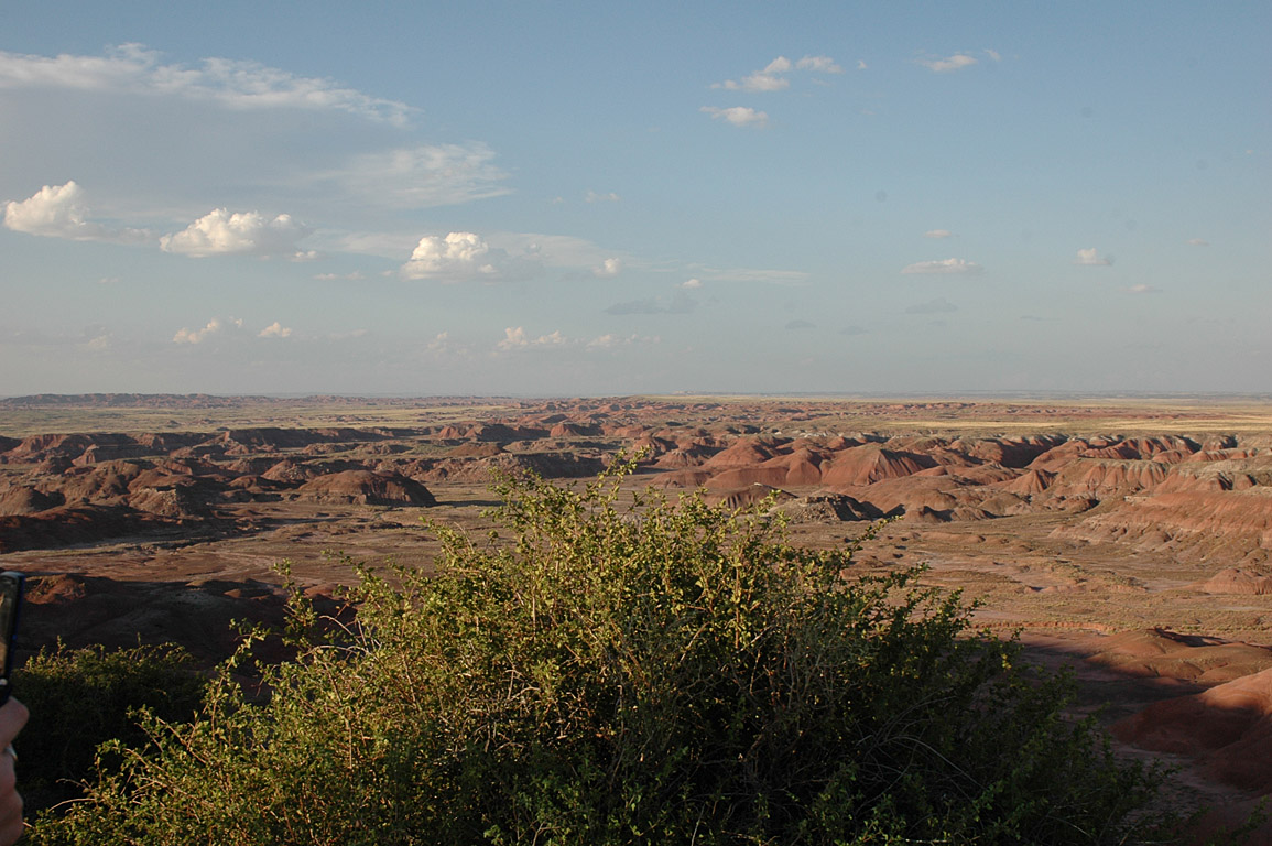 2007_0823_0881