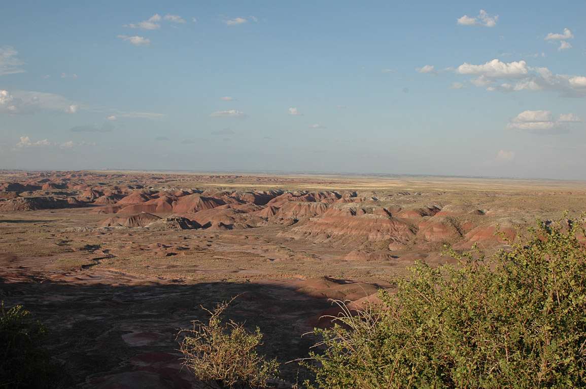 2007_0823_0882