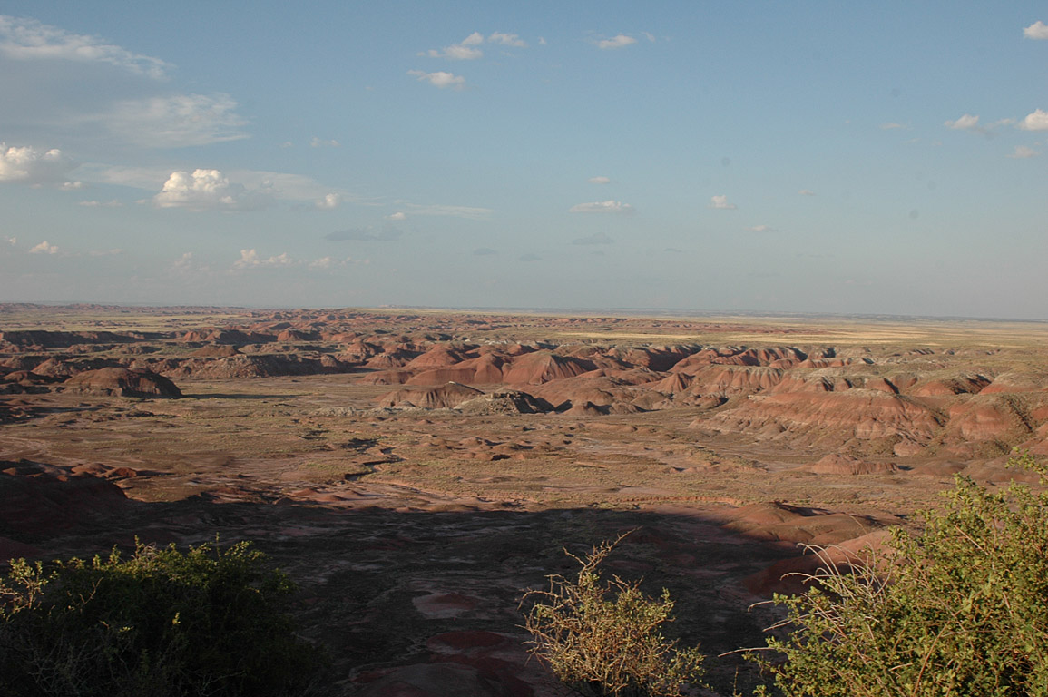 2007_0823_0883