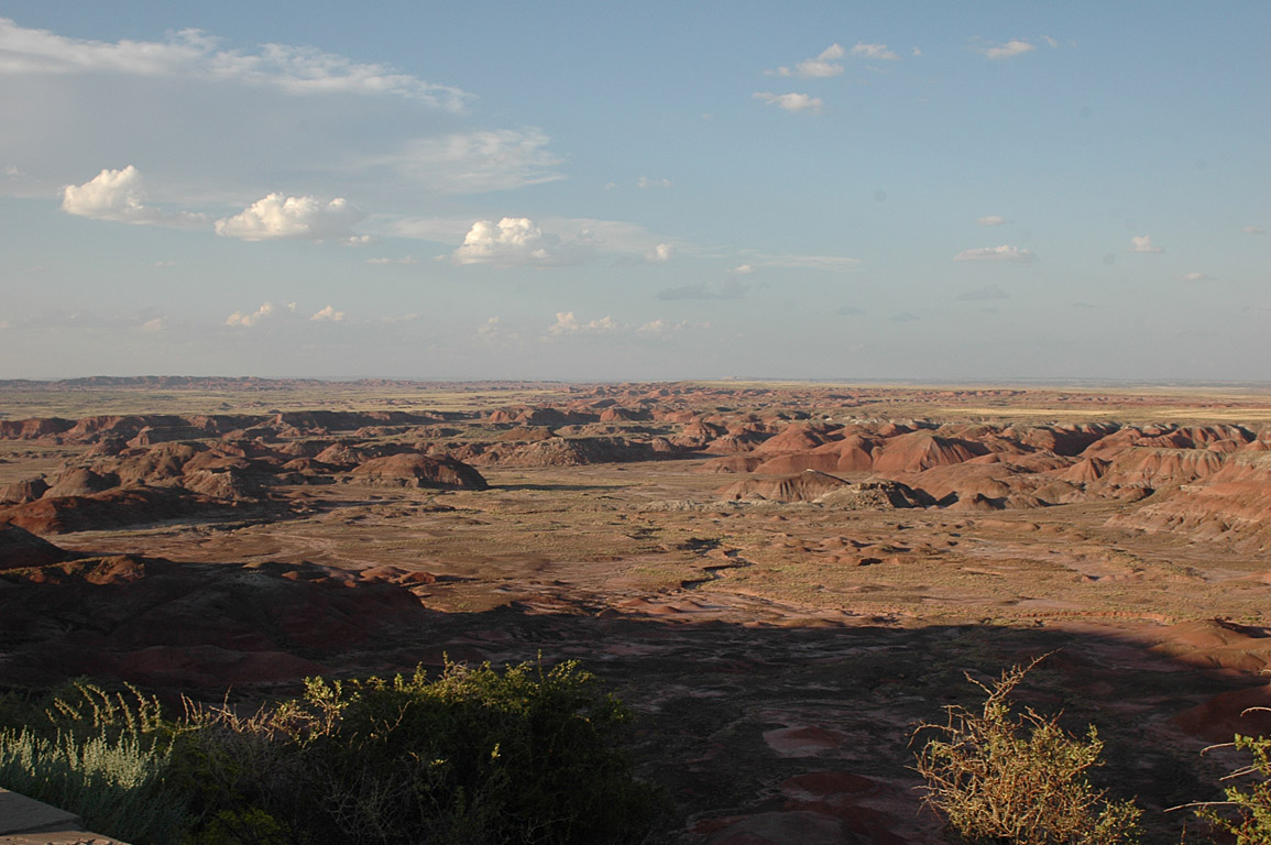 2007_0823_0884