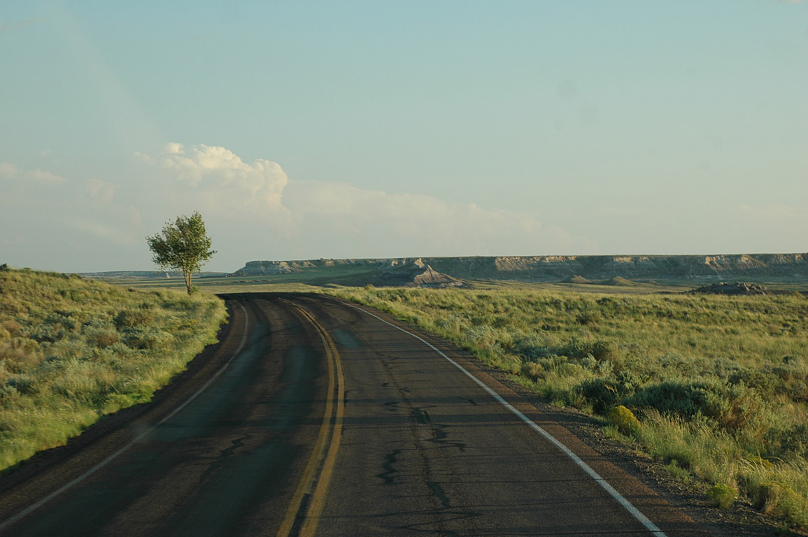 2007_0823_0968
