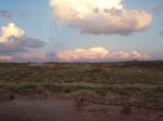 2007_0823_1084