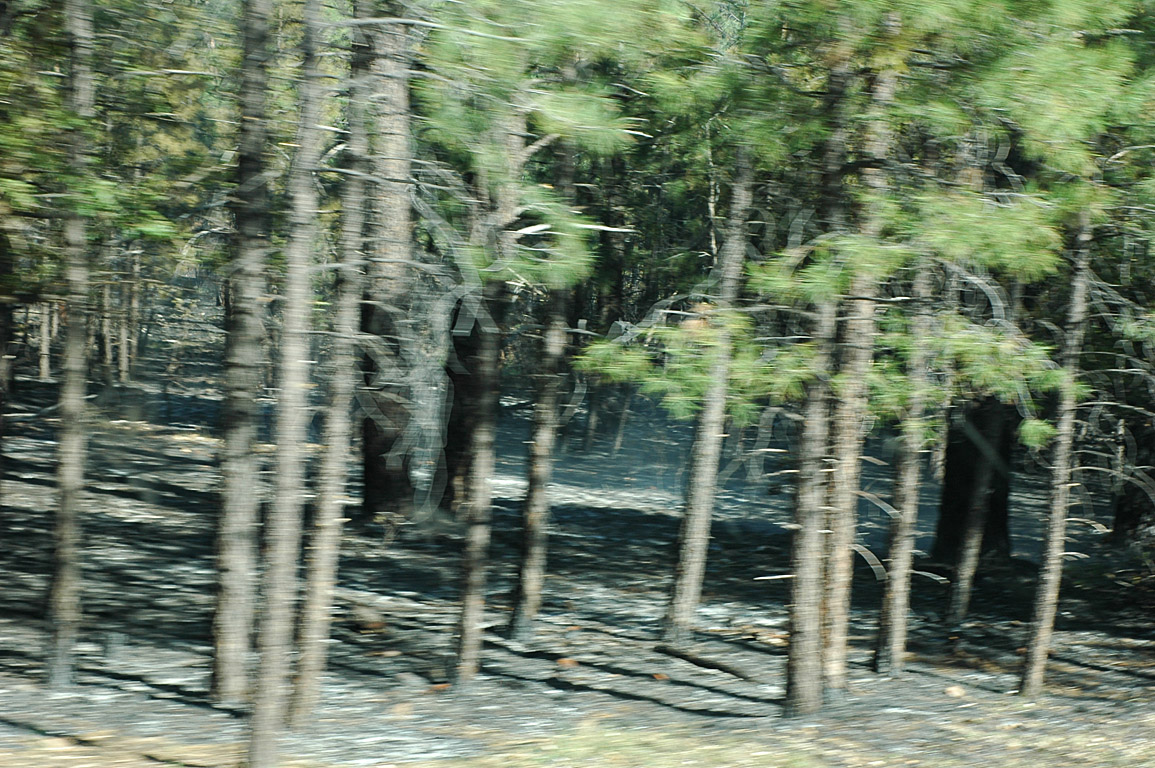 2007_0824_0645