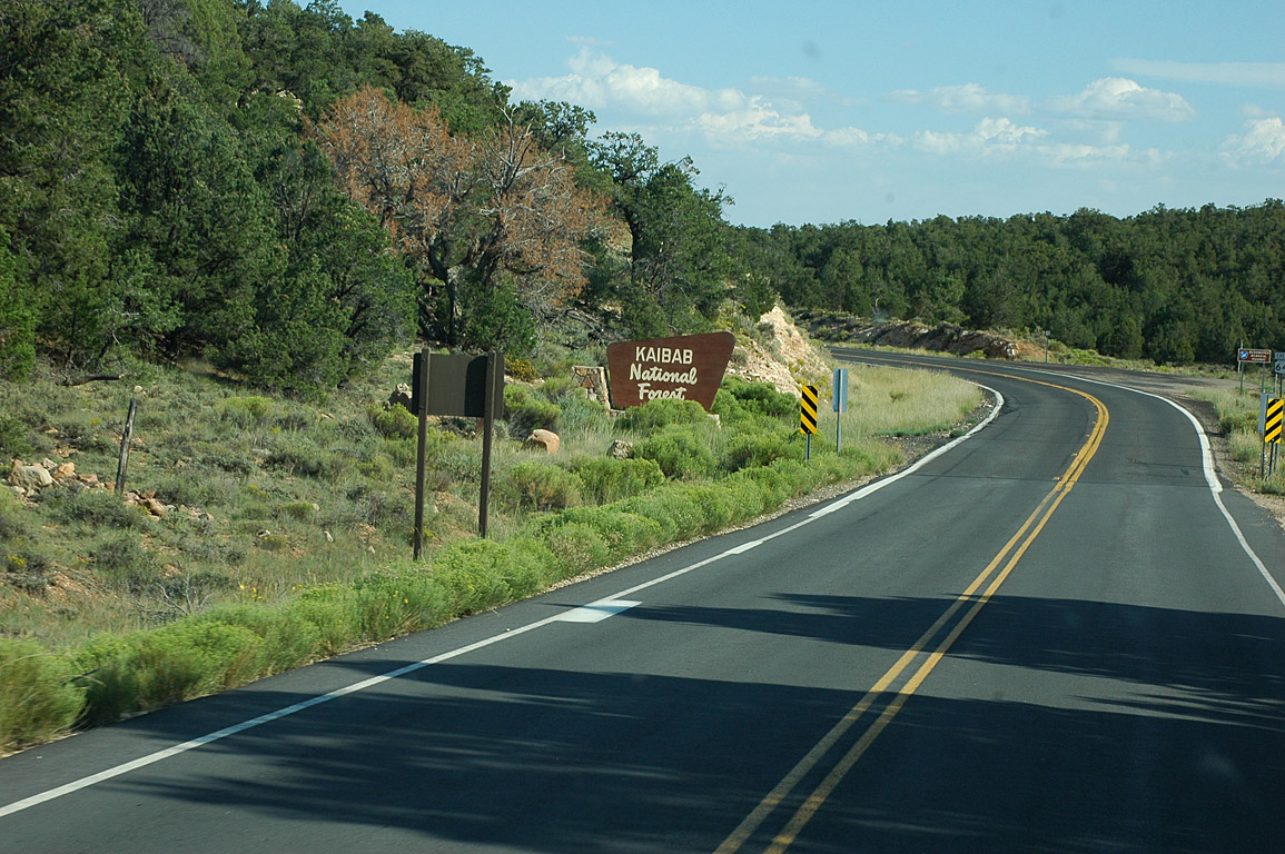 2007_0824_0669