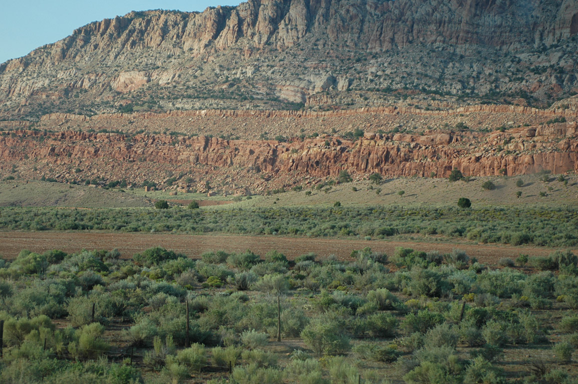 2007_0824_0882