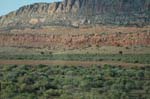 2007_0824_0882