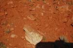 2007_0824_0954