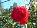 washpk_or_09_27_06 001