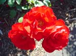 washpk_or_09_27_06 002