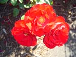 washpk_or_09_27_06 003