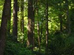 washpk_or_09_27_06 006