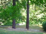 washpk_or_09_27_06 007