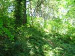 washpk_or_09_27_06 010